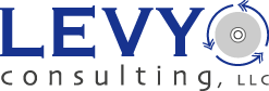 Levy Consulting, LLC